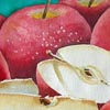 Apple Slices