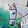 Hunter Equitation