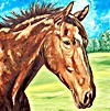 Vegas European Thoroughbred Portrait