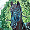 Wessel Friesian Portrait